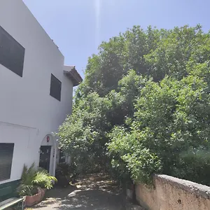 La Casa Del Almacigo Apartment Arona (Tenerife)